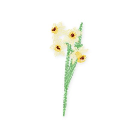 December · Narcissus