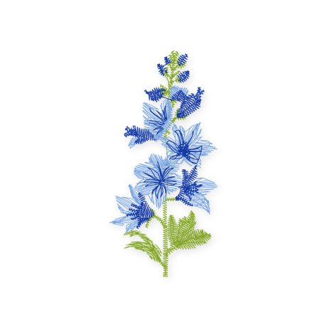 July · Larkspur