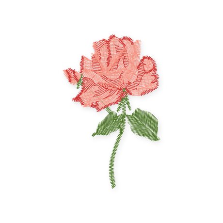 June · Rose