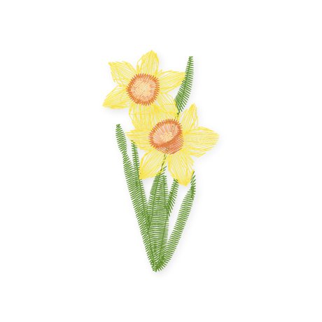 March · Daffodil