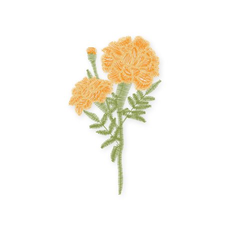 October · Marigold